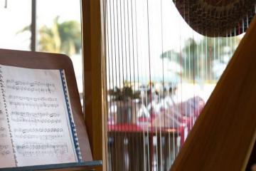 Отель Boyalik Beach Hotel & Spa Турция, Чешме, фото 31