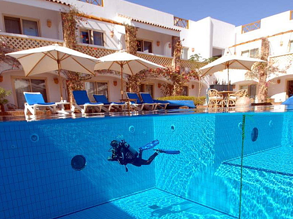 Camel Dive Club & Hotel