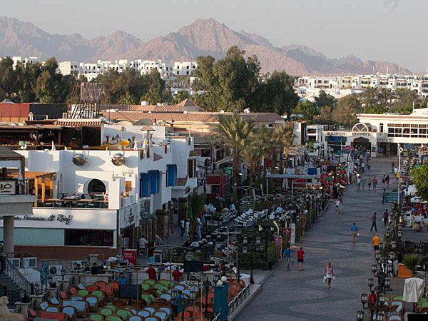 Camel Dive Club & Hotel