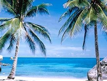 Charm Churee Village