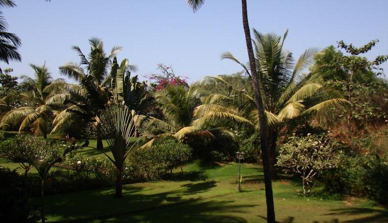 Chalston Beach Resort