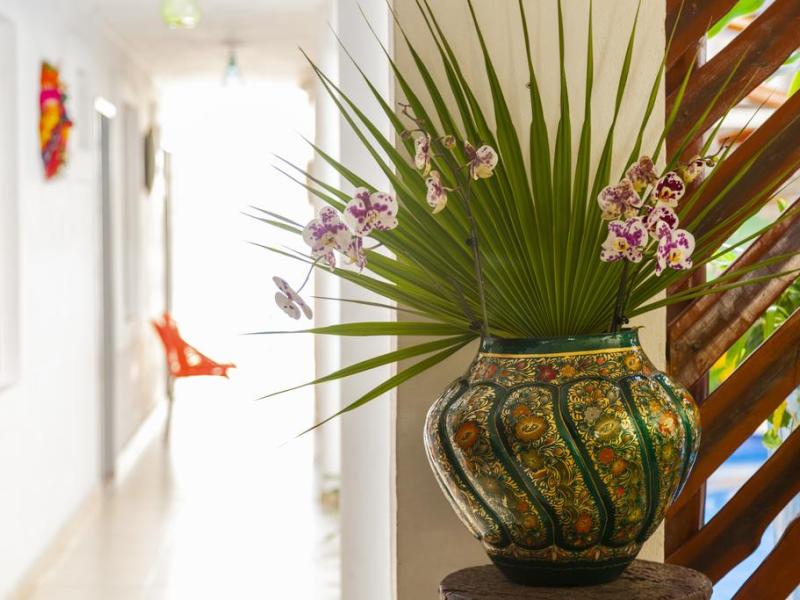 Mestizo Gallery Boutique Hotel