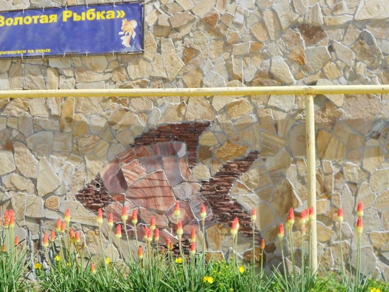 Золотая рыбка