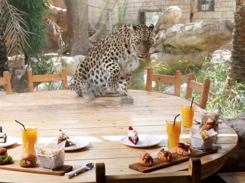 Emirates Park Zoo & Resort