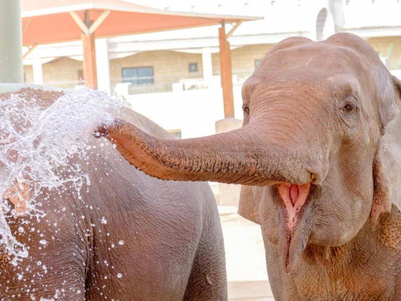 Emirates Park Zoo & Resort