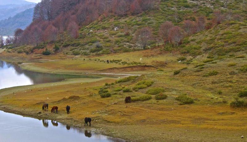 Grand Forest Metsovo