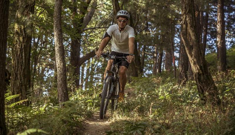 Grand Forest Metsovo