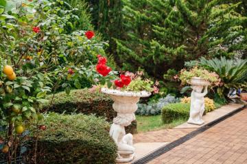 Отель ROMANOVPALM Hotel Россия, Сочи, фото 13