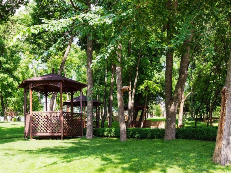 Надежда Парк-отель