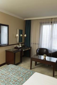 Отель Topkapi Inter Istanbul Hotel Турция, Фатих, фото 8