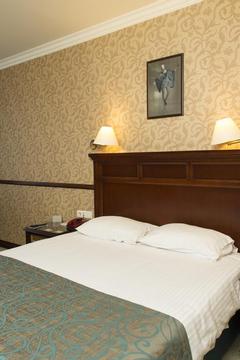 Отель Topkapi Inter Istanbul Hotel Турция, Фатих, фото 9