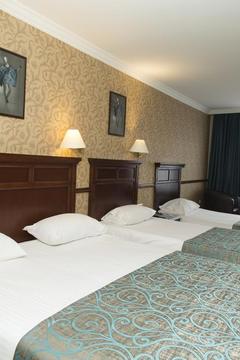 Отель Topkapi Inter Istanbul Hotel Турция, Фатих, фото 10