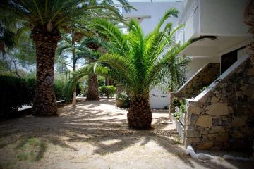 Отель Avra Palm Греция, о. Крит-Лассити, фото 18