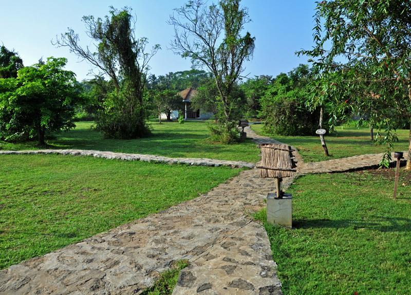 Kassapa Lions Rock