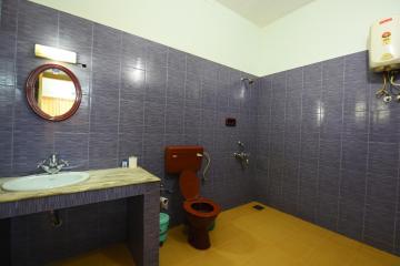 Отель Ideal Ayurvedic Resort Индия, Керала, фото 5