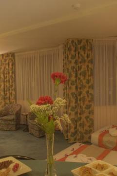 Отель Al Diar Dana Hotel ОАЭ, Абу Даби, фото 18