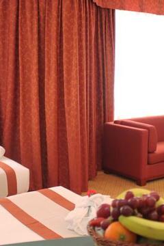 Отель Al Diar Dana Hotel ОАЭ, Абу Даби, фото 32