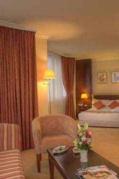 Отель Al Diar Dana Hotel ОАЭ, Абу Даби, фото 7