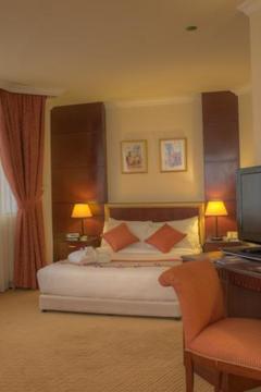 Отель Al Diar Dana Hotel ОАЭ, Абу Даби, фото 8