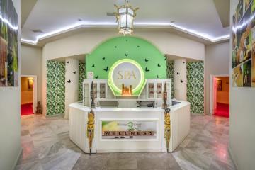 Отель Green Max Hotel Турция, Учкумтепеси, фото 23