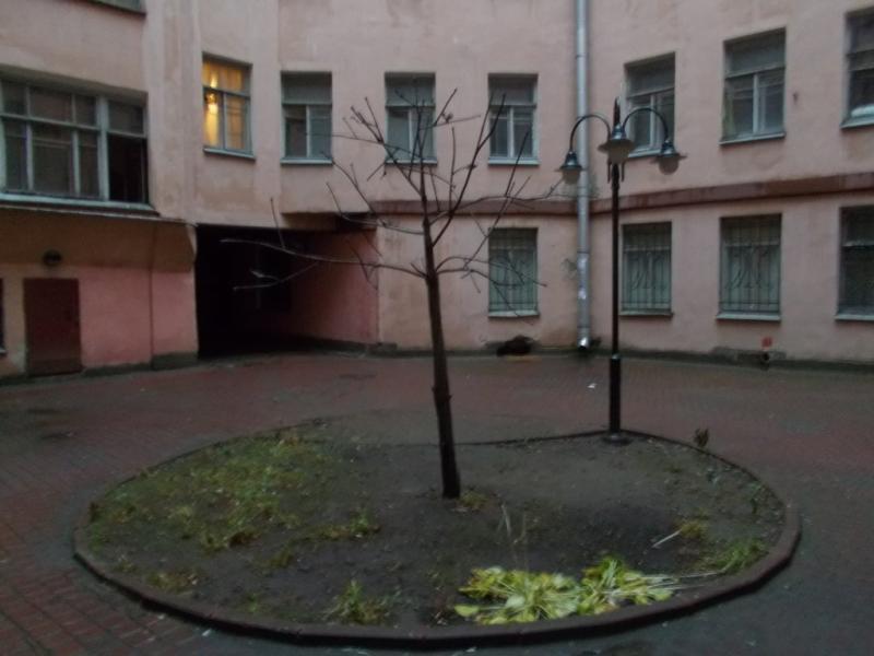 Hostel Dill