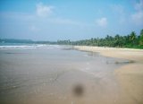 Отель Mawella Beach Resort Шри-Ланка, Тангалле, фото 14