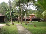 Отель Mawella Beach Resort Шри-Ланка, Тангалле, фото 16