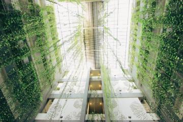 Отель GrandMas Plus Hotel Legian Индонезия, о Бали, фото 17