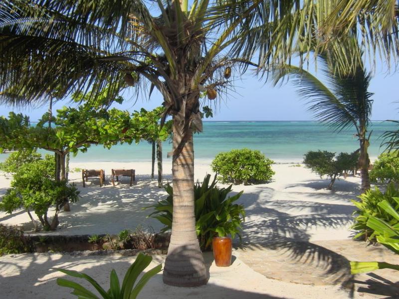 Next Paradise Boutique Resort