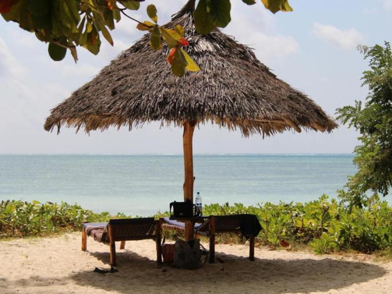 Sharazad Oasis Retreat