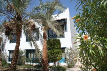 Отель Al Diwan Resort Египет, Шаркс Бей, фото 4