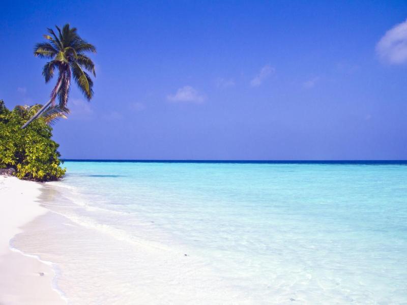 Safari Island Resort & Spa