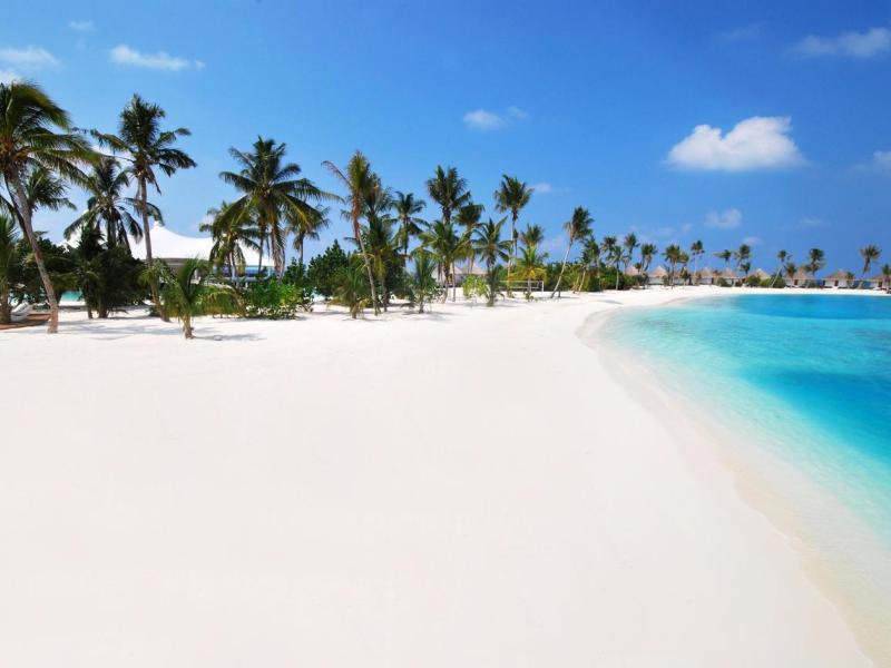 Safari Island Resort & Spa