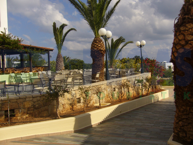 Chrissi Amoudia Hotel