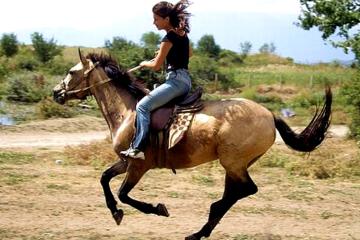 Отель 35-й Меридиан Россия, Алушта, фото 8