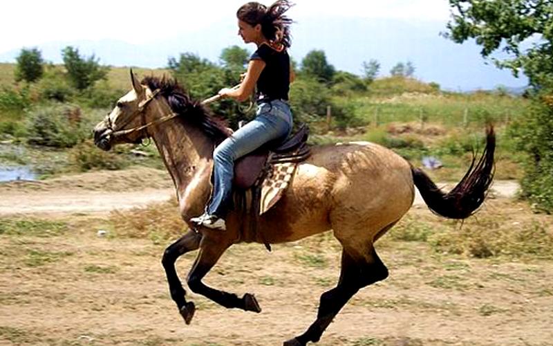 35-й Меридиан