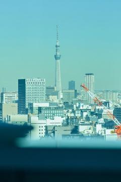Отель Mitsui Garden Hotel Ginza Premier Япония, Токио, фото 12