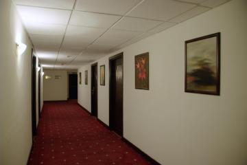 Отель Al Fanar Palace Hotel Иордания, Амман, фото 9