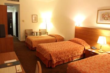 Отель Al Fanar Palace Hotel Иордания, Амман, фото 10
