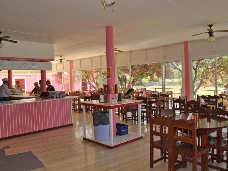 Pink Palace