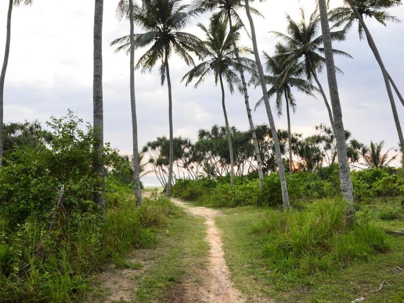 Hotel Warahena Walauwa