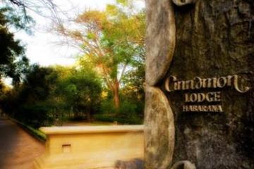 Отель Cinnamon Lodge Шри-Ланка, Хабарана, фото 22