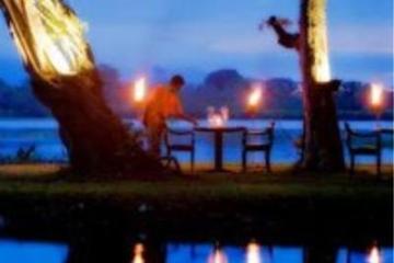 Отель Cinnamon Lodge Шри-Ланка, Хабарана, фото 3