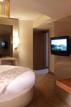 Отель Kaya Izmir Thermal & Convention Турция, Измир, фото 18