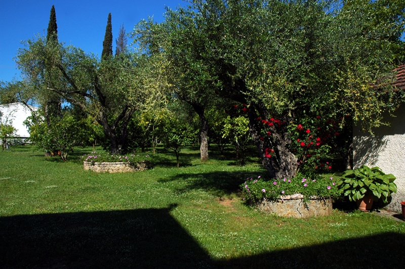 Omirikon Hotel & Apartments