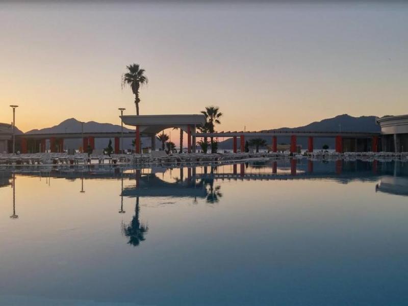 Green Nature Diamond