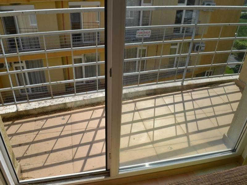 Sunny Day 5