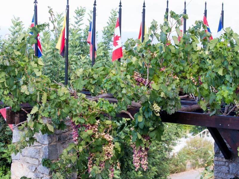 Korifi Suites & Apartments