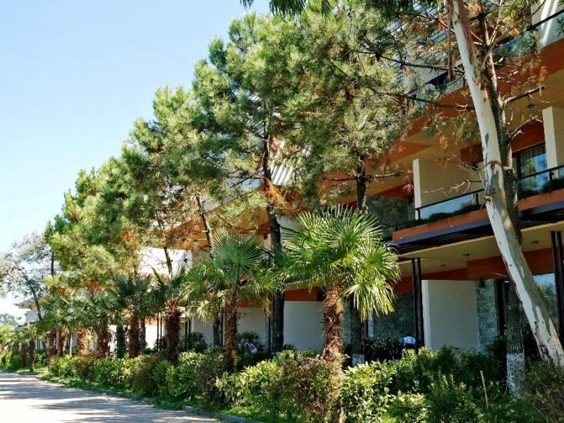 Dreamland Oasis Hotel