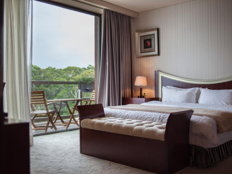 Dreamland Oasis Hotel